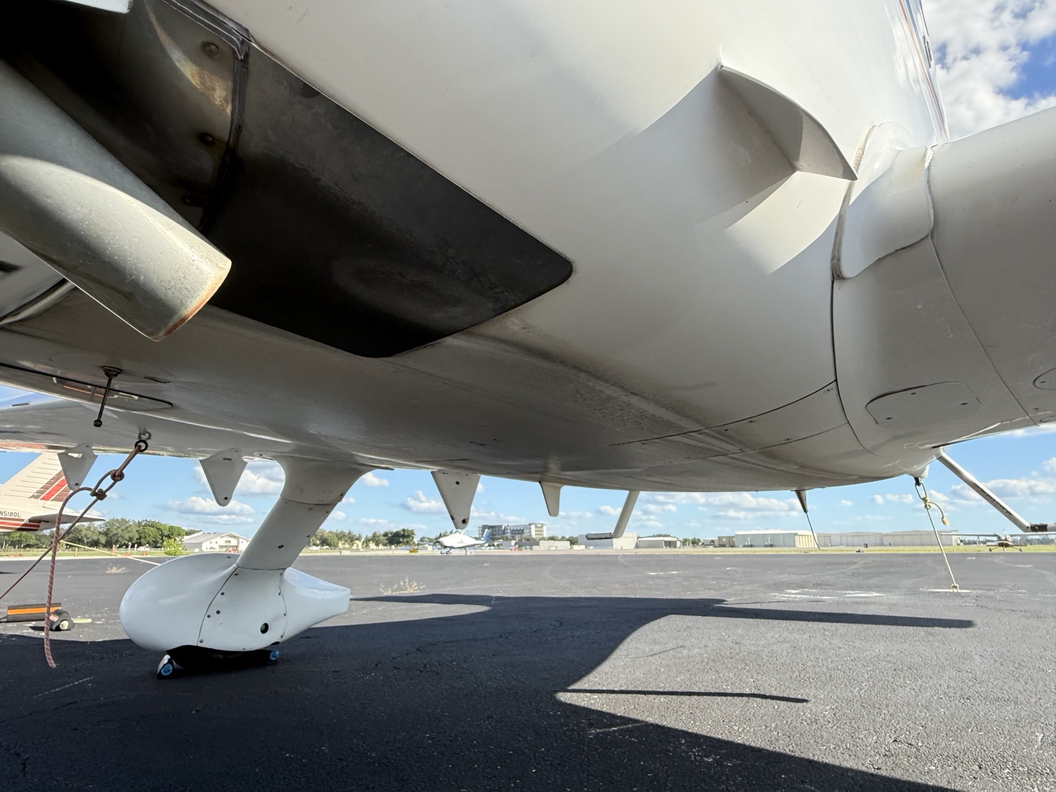 Cirrus SR22 underside before belly cleaning
